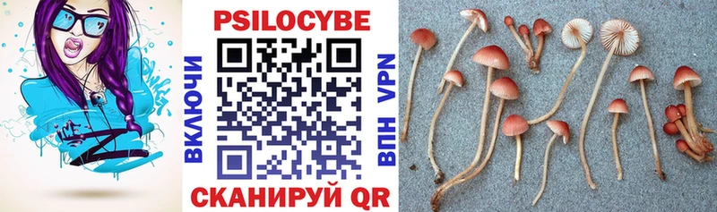 Псилоцибиновые грибы прущие грибы  Сосенский 